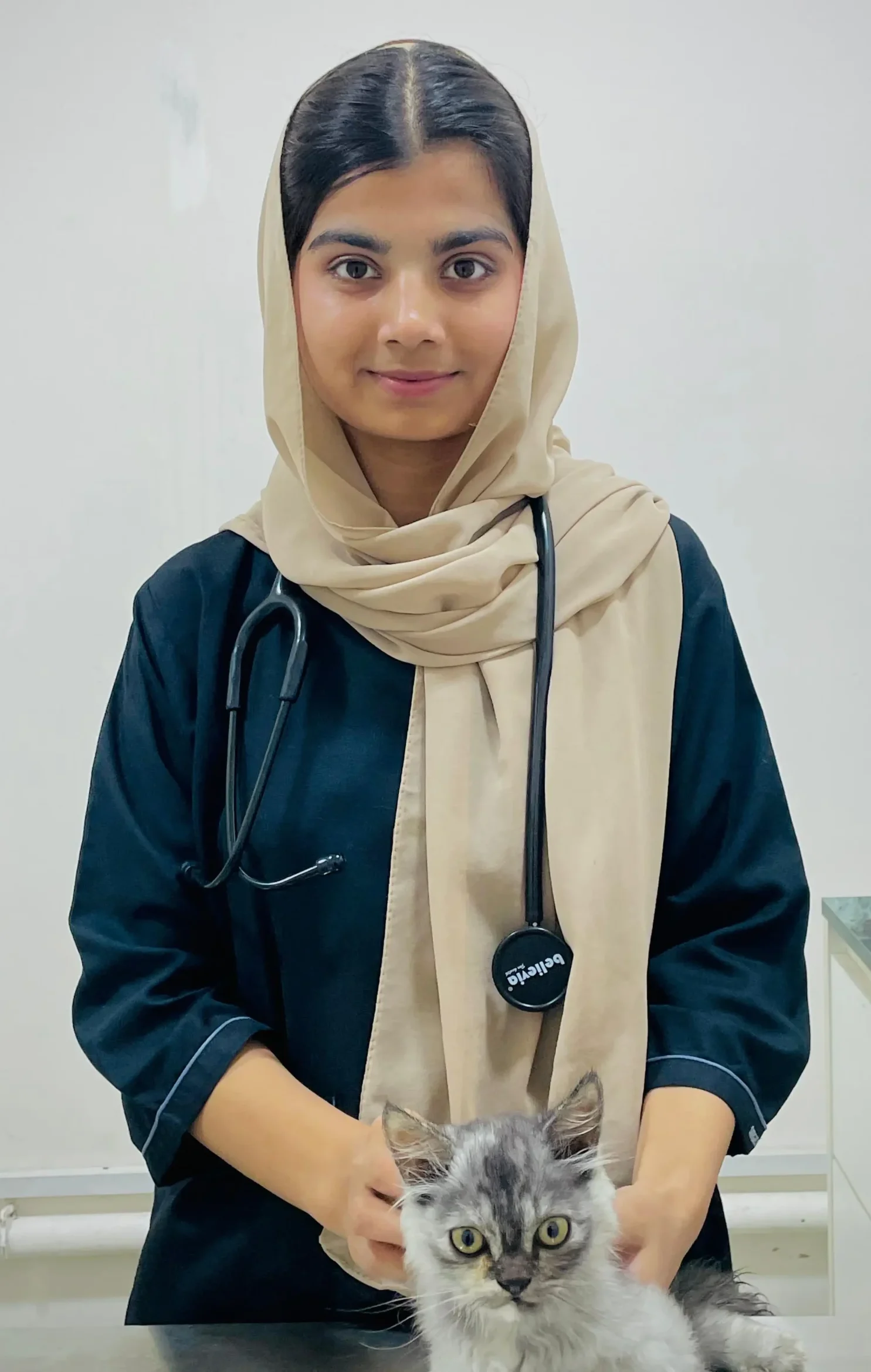 Dr. Amina Ramzan examining a gray Persian cat during a check-up.